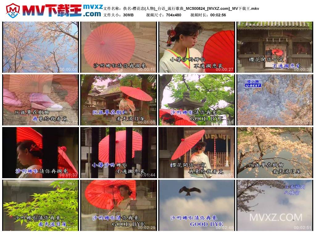 佚名-樱花恋(人物)_台语_流行歌曲_MC500824